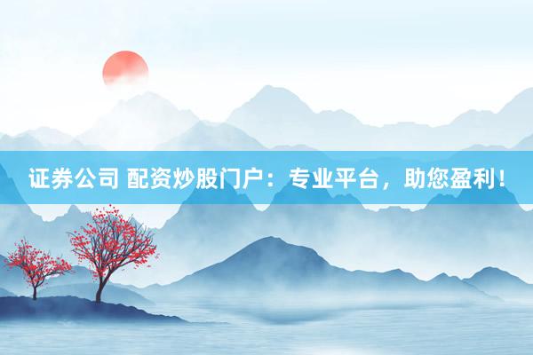 证券公司 配资炒股门户：专业平台，助您盈利！