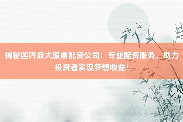 揭秘国内最大股票配资公司：专业配资服务，助力投资者实现梦想收益！