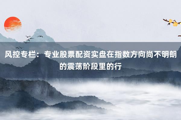 风控专栏：专业股票配资实盘在指数方向尚不明朗的震荡阶段里的行