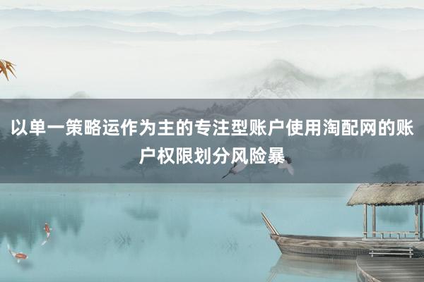 以单一策略运作为主的专注型账户使用淘配网的账户权限划分风险暴