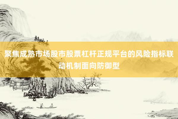 聚焦成熟市场股市股票杠杆正规平台的风险指标联动机制面向防御型