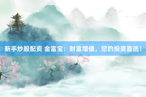 新手炒股配资 金富宝：财富增值，您的投资首选！
